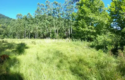 Terreno à venda na linha, 1, zona rural, santa tereza por r$ 805.000