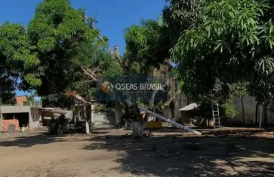 Chácara / sítio à venda no Cambolo, Porto Seguro 