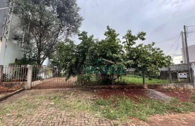 Terreno à venda na Rua Nereu Ramos, Centro, Cascavel