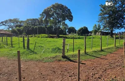 Sítio à venda, 76,8 hectares por r$ 13.500.000 - vila são francisco - apucarana/pr