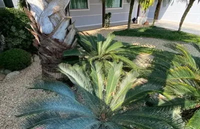 Casa com 3 quartos à venda no Centro, Barra Velha 