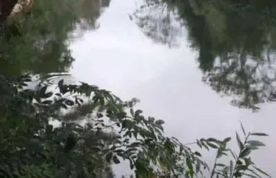 Chácara para venda em cuiabá, coxipó do ouro, 11 dormitórios