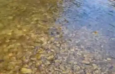 Chácara para venda em cuiabá, coxipó do ouro, 3 dormitórios, 3 suítes, 4 banheiros, 3 vagas