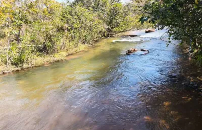 Chácara para venda em cuiabá, zona rural, 3 dormitórios, 2 banheiros
