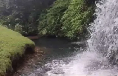 Fazenda à venda na Zona Rural, Nobres 