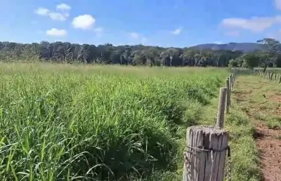 Chácara para venda em santo antônio do leverger, zona rural, 4 dormitórios, 2 banheiros