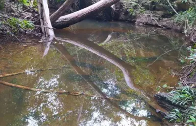 Chácara / sítio à venda na Zona Rural, Poconé 