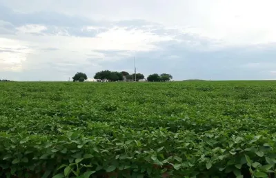 Fazenda à venda na Avenida dos Tarumãs, SN, Zona Rural, Sinop