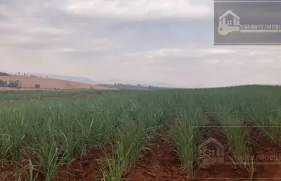 Fazenda à venda no Centro, Patrocínio Paulista 