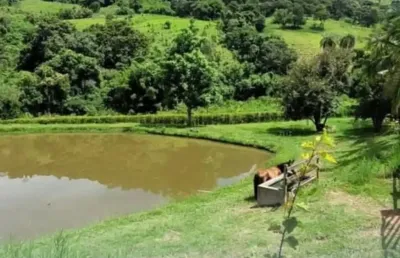 Sítio a venda em jacutinga mg com 6.73 alqueires com 5mil pés de cafe