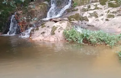 Sítio a venda entre jacutinga e monte sião com 9 alqueires e cachoeira