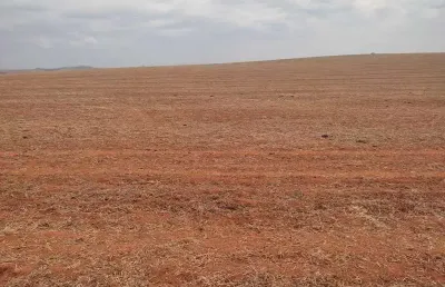 Fazenda de 1.230 hectares na região de araxá / tapira