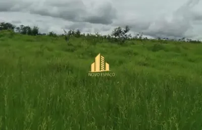 Fazenda 113 hectares entre o município morro da garça e corinto