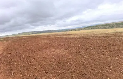 Fazenda à venda na Zona Rural, Sacramento 