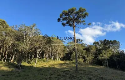 Terreno à venda na aguas claras, 000, águas claras, rancho queimado por r$ 715.000