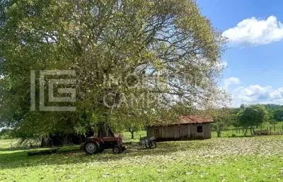 Terreno à venda na 262, 1, zona rural, terenos por r$ 7.000.000