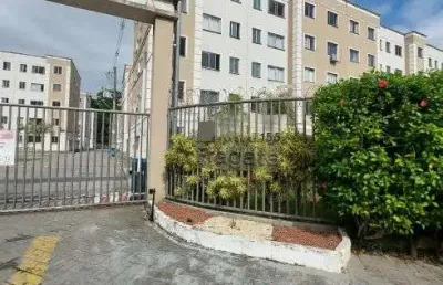 Apartamento 2 quartos - condominio parque fragata - colina de laranjeiras