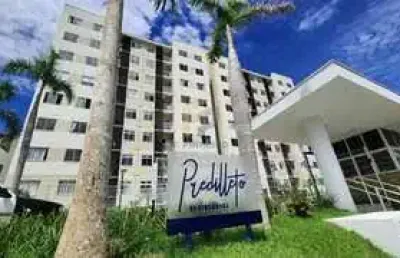Lindo apartamento no parque 10 - recém reformado - teto em gesso