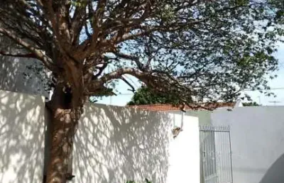 Casa para locação em são josé do rio preto, jardim soraia, 1 dormitório, 1 banheiro, 2 vagas