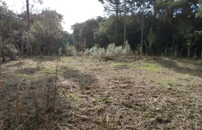 Terreno à venda, 2mil metros, r$ 


11000.00 em  contenda, são josé dos pinhais, pr