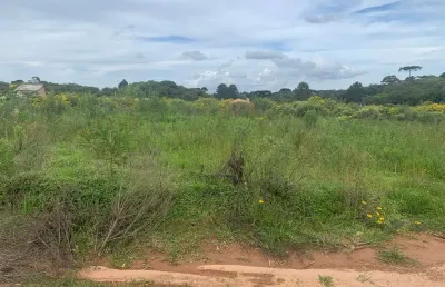 Terreno à venda, campina do taquaral, campo largo da roseira (são josé dos pinhais), pr