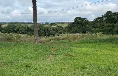Chácara à venda, contenda, campo largo da roseira, pr