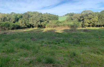 Terreno à venda, área rural de fazenda rio grande, fazenda rio grande, pr