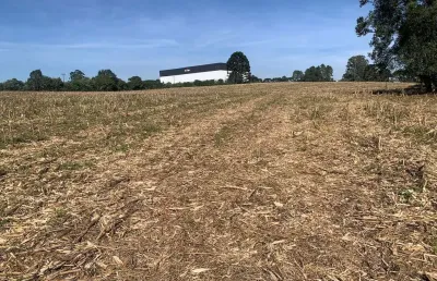 Terreno industrial à venda, campo largo da roseira, são josé dos pinhais, pr