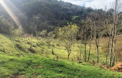 Terreno à venda apenas 300m de estrada de chão, matulão, tijucas do sul, pr