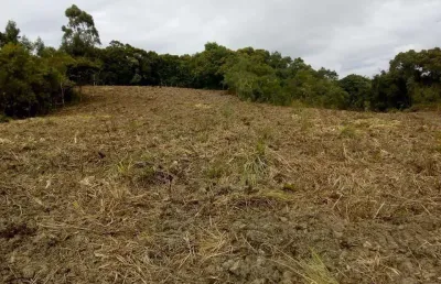Chácara à venda, roça velha, são josé dos pinhais, pr