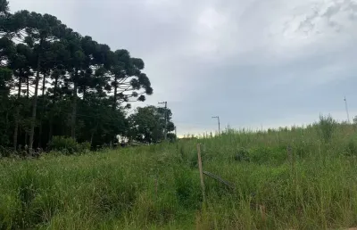 Chácara à venda, roseira do campo largo, são josé dos pinhais, pr