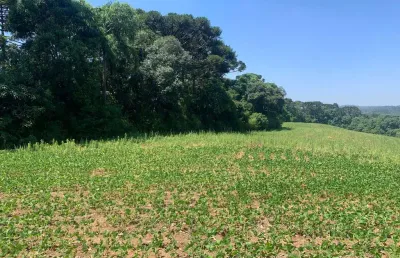 Terreno à venda na Rua Antonio Baldan, 151, Jardim Veneza, Fazenda Rio Grande