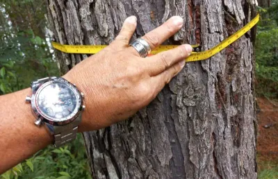 Terreno à venda na Rua João Bertoja, Itaqui de Cima, Campo Largo