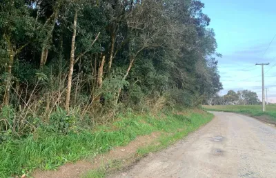 Terreno à venda, área rural de fazenda rio grande, fazenda rio grande, pr