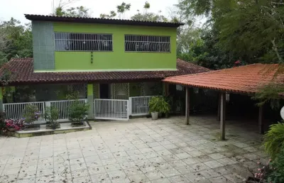 Sítio 4 quartos 13.000 m² com madeira de lei (com 10 anos) e pomar, capinal