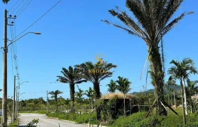 Terreno em condomínio fechado à venda na rua três marias, real parque, florianópolis, 526 m2 por r$ 550.000