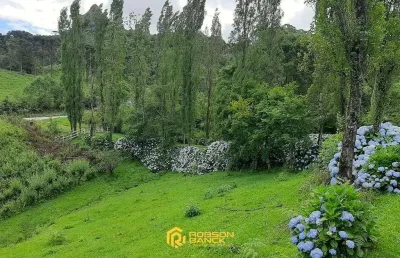 Terreno à venda na Rio Do Tigre, Zona Rural, Rio Rufino