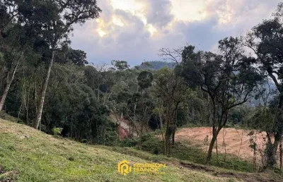 Terreno à venda na Av. Rodolfo Andermann, 1303, Zona Rural, Rio Rufino