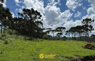Terreno à venda no São Pedro, Urubici 