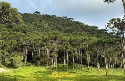 Terreno à venda na Zona Rural, Urubici 