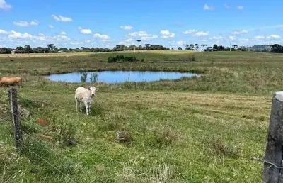Terreno à venda na Zona Rural, Urupema 