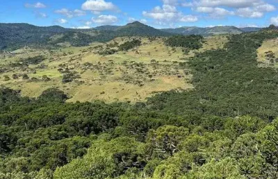 Terreno à venda na Farofa, Centro, Urupema
