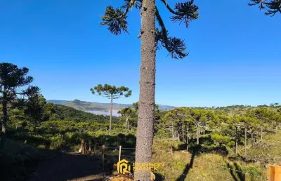 Terreno à venda na Bom Sucesso, Centro, São Joaquim