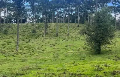 Terreno à venda na Centro, Zona Rural, Urubici