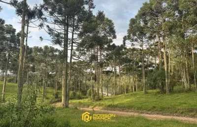 Terreno à venda na Bom Sucesso, Centro, São Joaquim