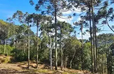 Terreno à venda na Zona Rural, Urubici 