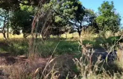 2.500 m2 cada lote ou fração.  total 10.000 m2.  projeto de arquitetura aprovado.  foi dado a entrada bo desmembramento.   tem uma imensa área verde, quase do tamanho dos 4 lotes (10.000 m2).  e ainda
