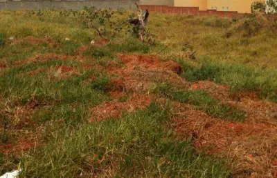 Terreno, 5000 m² - venda por r$ 10.000.000,00 ou aluguel por r$ 30.000,02/mês - jardim novo horizonte - sorocaba/sp