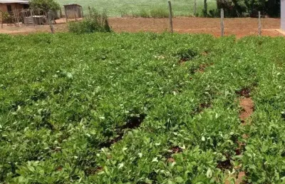 Lindo terreno são miguel arcanjo, 430 m², 20 km cidade, sabesp, energia, doc. ok, facilito