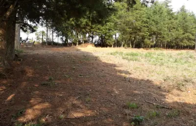 Linda terreno em são miguel arcanjo, 4.800 m², no asfalto, córrego, exc. local, doc., ok.